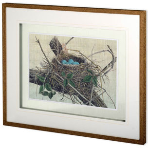 Custom Nesting II (MC) by John Butler Hand Embellished Textured Framed Art Print Matted under Glass
