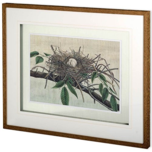 10779 - Custom Nesting III (MC) by John Butler Hand Embellished Textured Framed Art Print Matted under Glass