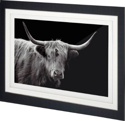 10855 - Highland Courage - Framed Art Photograph Matted under Glass