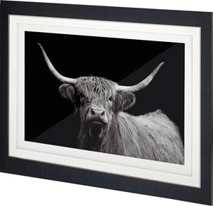 Highland Spirit - Framed Art Photograph Matted under Glass