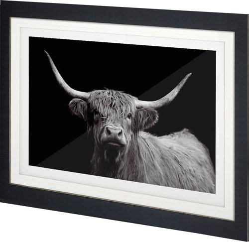 10856 - Highland Spirit - Framed Art Photograph Matted under Glass