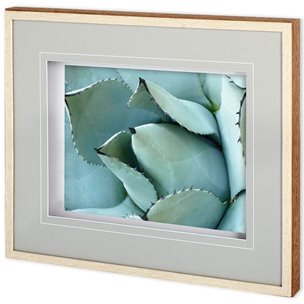 Agave Detail I by Alison Jerry a Framed Photo Art Print Matted under Glass