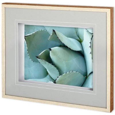 11113 - Agave Detail I by Alison Jerry a Framed Photo Art Print Matted under Glass