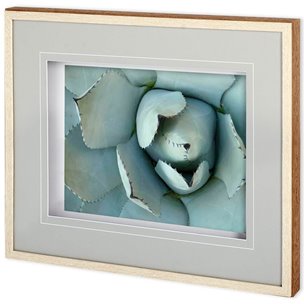 Agave Detail II by Alison Jerry a Framed Photo Art Print Matted under Glass
