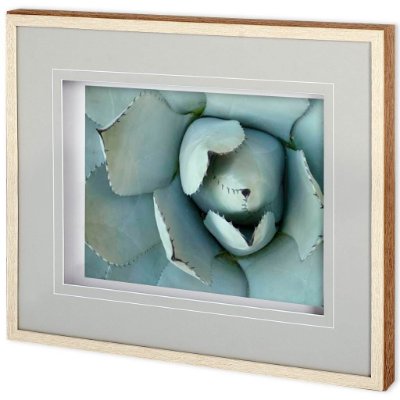 11114 - Agave Detail II by Alison Jerry a Framed Photo Art Print Matted under Glass