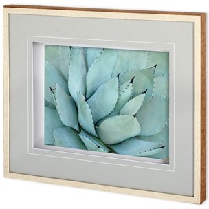 Agave Detail IV by Alison Jerry a Framed Photo Art Print Matted under Glass