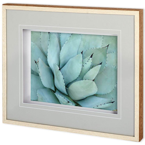 11116 - Agave Detail IV by Alison Jerry a Framed Photo Art Print Matted under Glass