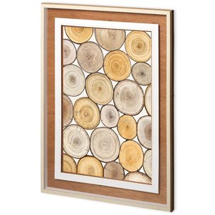 Tree Ring Study II by Mercana Studio a Framed Art Print Matted under Glass