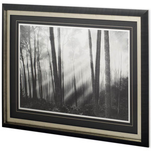 Mystical Forest & Sunbeams by Monte a Framed Photo Art Print Matted under Glass
