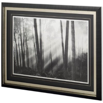 11277 - Mystical Forest & Sunbeams by Monte a Framed Photo Art Print Matted under Glass