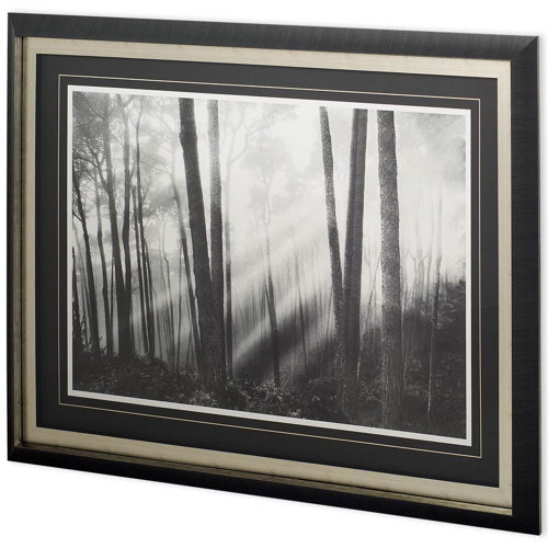 11277 - Mystical Forest & Sunbeams by Monte a Framed Photo Art Print Matted under Glass