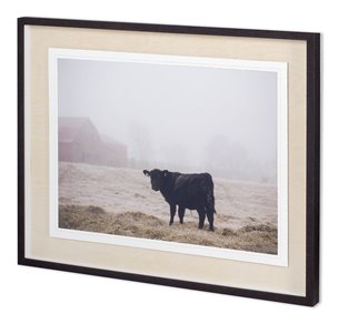 Custom Farm Study II by Adam Mead a Framed Photo Art Print Matted under Glass