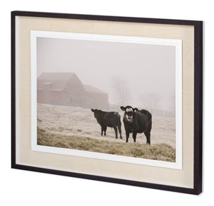 Custom Farm Study III by Adam Mead a Framed Photo Art Print Matted under Glass