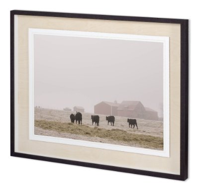 11337 - Custom Farm Study IV by Adam Mead a Framed Photo Art Print Matted under Glass