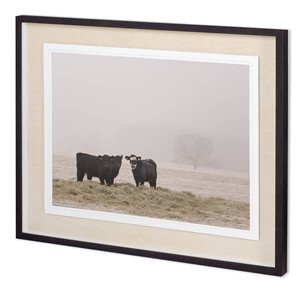 Custom Farm Study V by Adam Mead a Framed Photo Art Print Matted under Glass