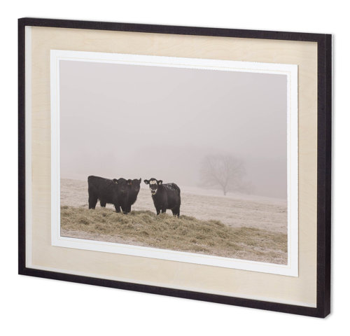 11338 - Custom Farm Study V by Adam Mead a Framed Photo Art Print Matted under Glass