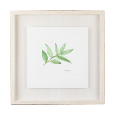 11341 - Sweet Bay v2 by Chris Paschke a Framed Art Print Matted under Glass