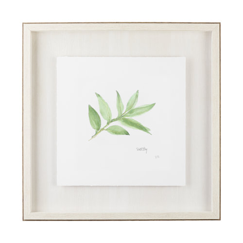 11341 - Sweet Bay v2 by Chris Paschke a Framed Art Print Matted under Glass