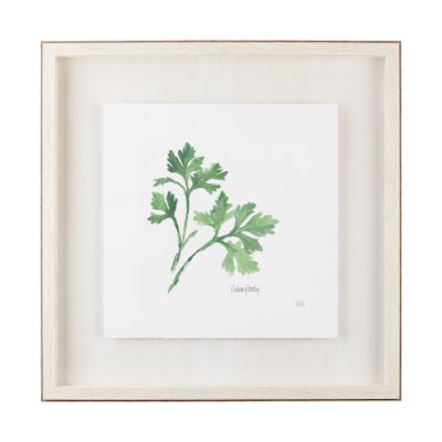 11342 - Italian Parsley v2 by Chris Paschke a Framed Art Print Matted under Glass