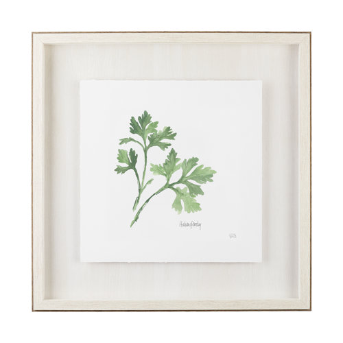 11342 - Italian Parsley v2 by Chris Paschke a Framed Art Print Matted under Glass