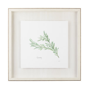 Rosemary v2 by Chris Paschke a Framed Art Print Matted under Glass
