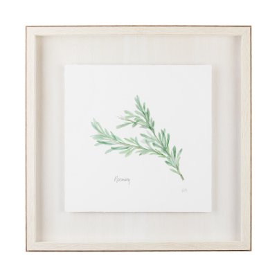 11343 - Rosemary v2 by Chris Paschke a Framed Art Print Matted under Glass