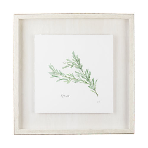 11343 - Rosemary v2 by Chris Paschke a Framed Art Print Matted under Glass