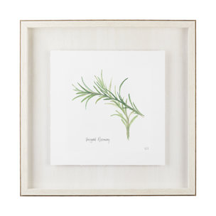 Variegated Rosemary v2 by Chris Paschke a Framed Art Print Matted under Glass