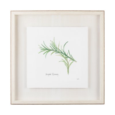 11344 - Variegated Rosemary v2 by Chris Paschke a Framed Art Print Matted under Glass