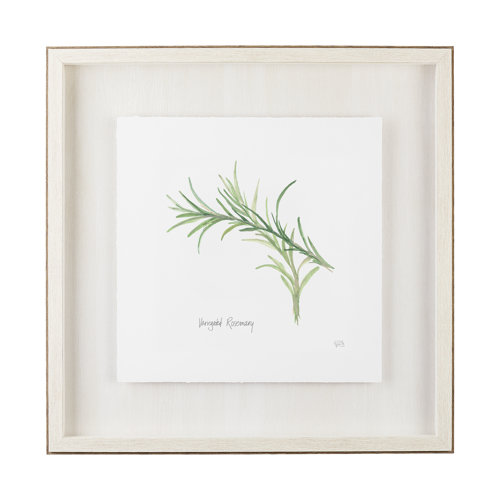 11344 - Variegated Rosemary v2 by Chris Paschke a Framed Art Print Matted under Glass
