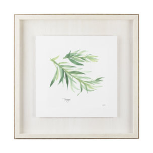 Tarragon v2 by Chris Paschke a Framed Art Print Matted under Glass