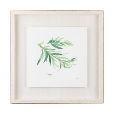 11345 - Tarragon v2 by Chris Paschke a Framed Art Print Matted under Glass