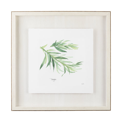 11345 - Tarragon v2 by Chris Paschke a Framed Art Print Matted under Glass
