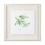 11345 - Tarragon v2 by Chris Paschke a Framed Art Print Matted under Glass