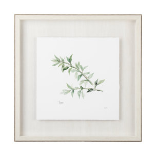 Thyme v2 by Chris Paschke a Framed Art Print Matted under Glass