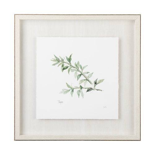 11346 - Thyme v2 by Chris Paschke a Framed Art Print Matted under Glass