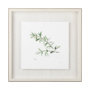11346 - Thyme v2 by Chris Paschke a Framed Art Print Matted under Glass