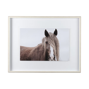 Wild Mane by Mercana Studio a Framed Photo Art Print Matted under Glass