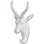 44229 - Dugaleon VII White Ibex Coat Hook