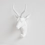 44229 - Dugaleon VII White Ibex Coat Hook