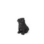 57798 - Cadence 4L x 5W Black Resin Pug Dog