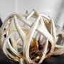 57801 - Ramus II (Large) 7L x 7W Brown Antler Shaped Decorative Orb Ball