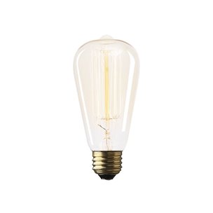 Filament Teardrop E26 40W 5.5"H Bulb