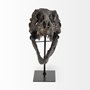 67025 - Jurassic 6L x 10W Brown Resin Tyrannosaurus Skull Replica