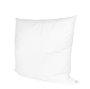 67165 - 22 x 22 Non-Allergen Pillow insert
