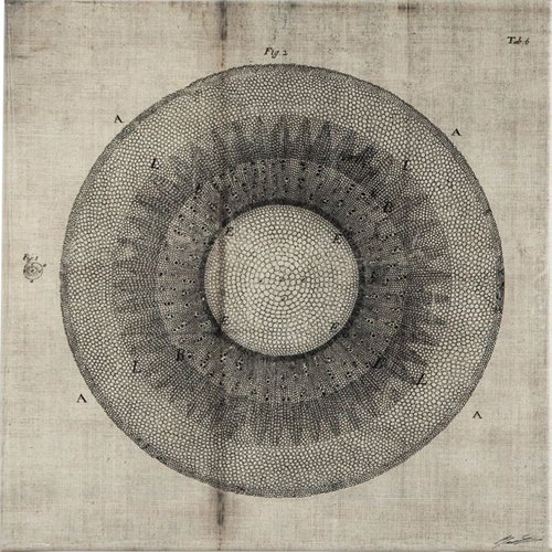 100005-S - Cross Cut II (MC) by Mercana Studio a Hand Embellished Textured Canvas