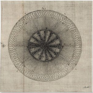 Cross Cut IV (MC) by Mercana Studio a Hand Embellished Textured Canvas