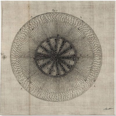 100007-S - Cross Cut IV (MC) by Mercana Studio a Hand Embellished Textured Canvas