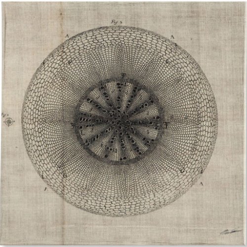 100007-S - Cross Cut IV (MC) by Mercana Studio a Hand Embellished Textured Canvas