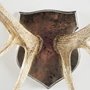 67646 - Sika I Natural Finish set of Replica Deer Antlers